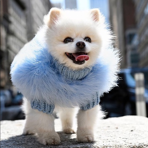 Maxbone Other - Maxbone x Christian Cowan Jumper Light Blue